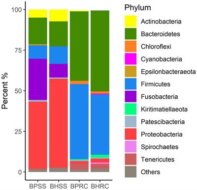 Dysbiosis and predicted function of dental and ruminal microbiome associated with bovine periodontitis